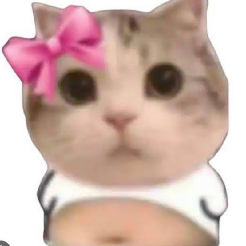 meo