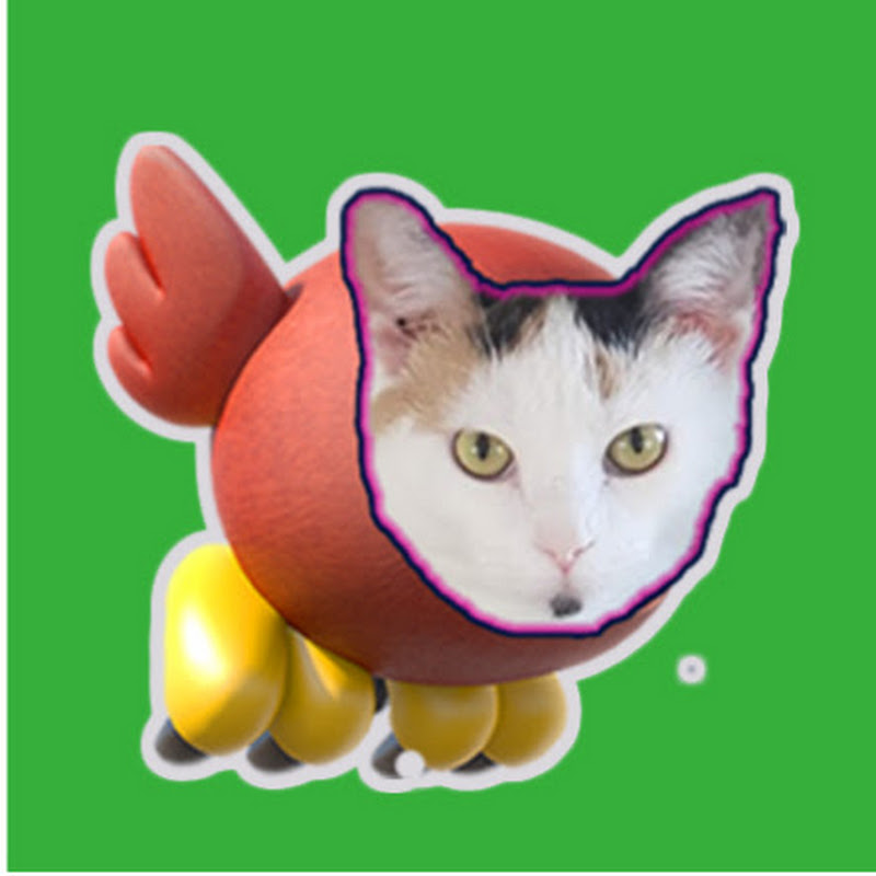 Roowzer