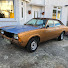 lAcgTDy4bTA-channel-avatar-Shelley's Cortina