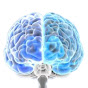 Brain Booster logo