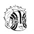 ByW6FWr3baE-channel-avatar-Akaza_hakuji