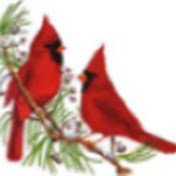 Backyard Cardinals