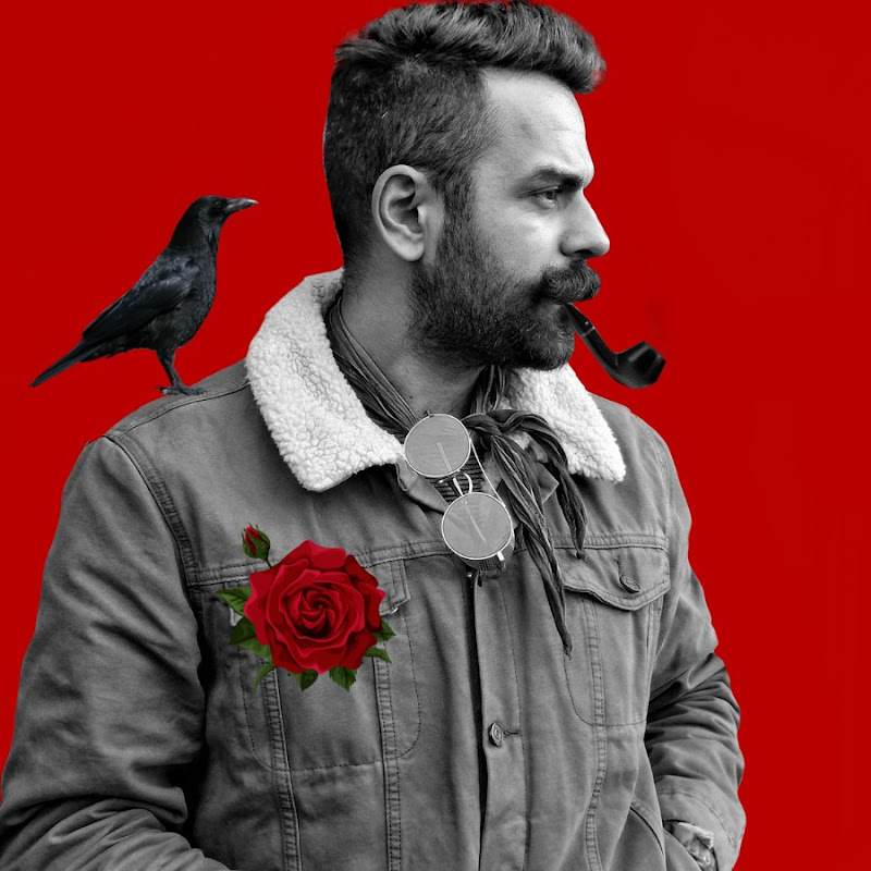 Niyazi Harmanbaşı - Analiz