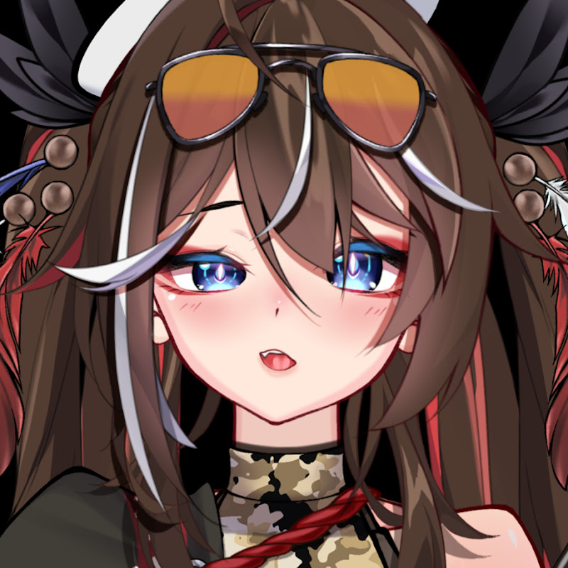 AinslieSentry