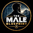 tzHXi7hO2ts-channel-avatar-The Male Blueprint