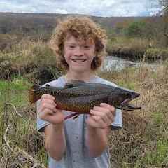 Fish on Flies