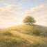 AYh_MBiYucE-channel-avatar-Canvas For Your TV 