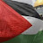 @emanahmedelsaed2649