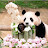 @love-baos