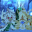 @Corn_queen3 Avatar