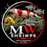 XS0SilZNFZY-channel-avatar-MW Shrimps 