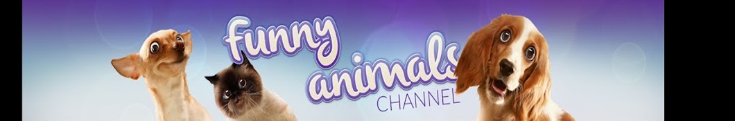 Funny Animals YouTube-Kanal-Avatar