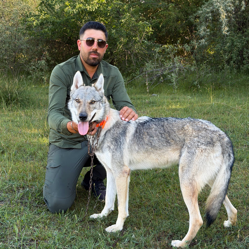 Mert Yılmaz