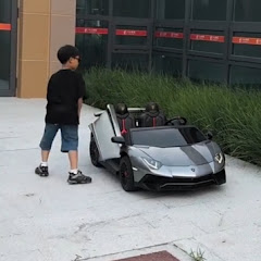 big RC Collection1
