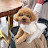 @참솔나무user-qi9fd2eg9j