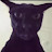 @EvilLarry-i5g