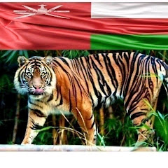 عبدالله العماني 🇴🇲