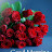 author-img