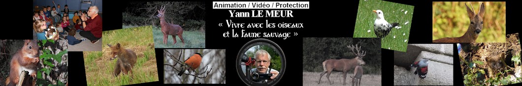 Yann Le Meur رمز قناة اليوتيوب