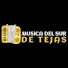 EfItpQDX5DE-channel-avatar-Musica del sur de Tejas