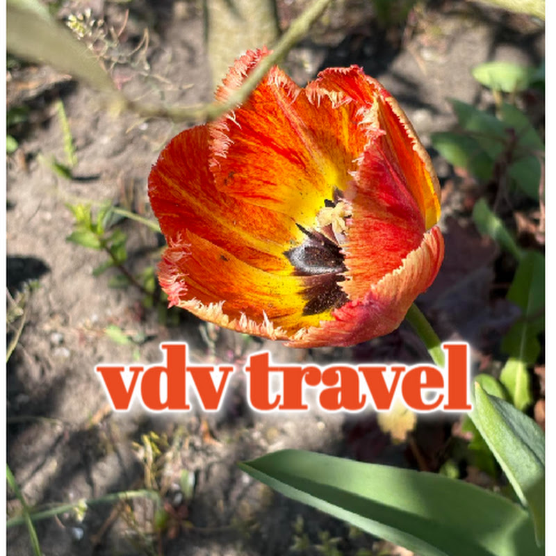 vdv travel