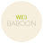 @wild.baboon