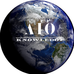 AIO Knowledge net worth