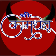 SHREE KAMDHENU GROUP avatar