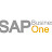 Ibile Konsult - SAP Business One