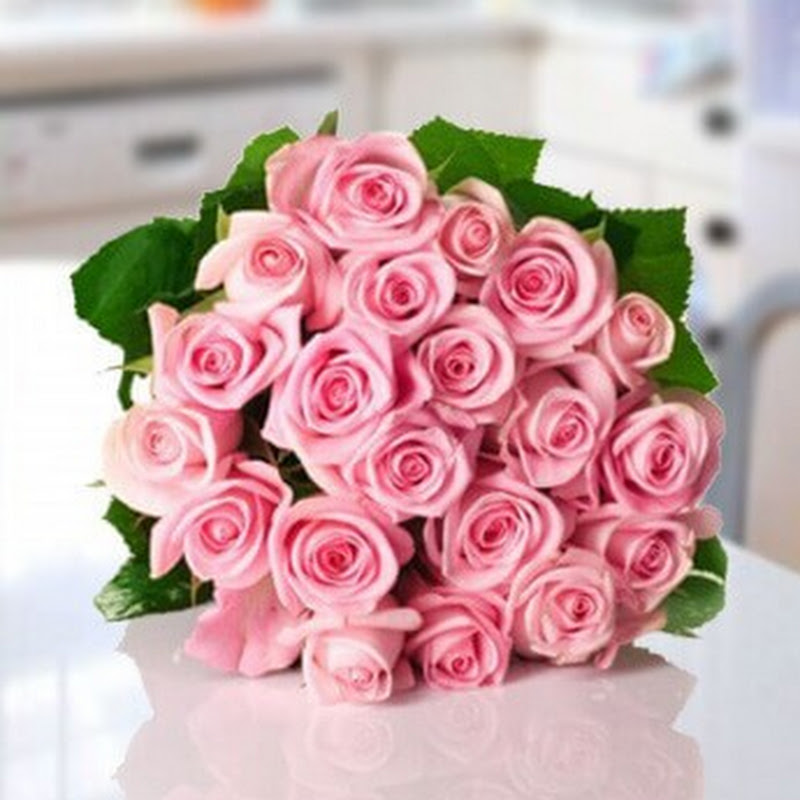 AbagofBeauty