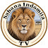 6g7yYxS4O1w-channel-avatar-Sabana Indómita TV