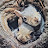 @보통사람123