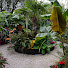 _WwrYC8Gers-channel-avatar-Tez’s Tropical Plants