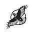 ghYtnYY_1j4-channel-avatar-Right To Roam