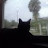 @Hazem_USA