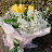 @hanshi_am