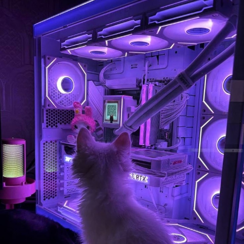 NEXT TECH LAB 
