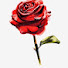 T8DzuTrMI0s-channel-avatar-Freya's messages