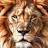 @hamza77bh