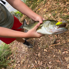 fishergold