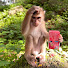 S92kVZ4hetg-channel-avatar-Cute Binky
