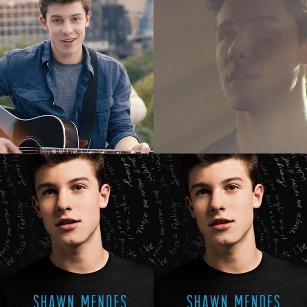 Shawn Mendes Playlist