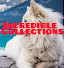 13kwG2HcNx0-channel-avatar-incredible collections