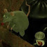 NAGUXfRQ8lM-channel-avatar-rat in baked beans
