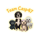 Team Casp47