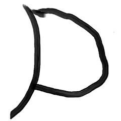 Dです。