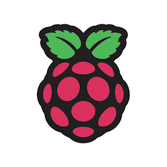 Raspberry Pi net worth