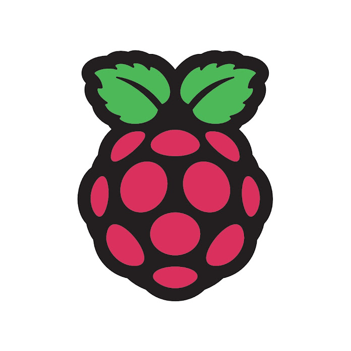 Raspberry Pi Net Worth & Earnings (2024)