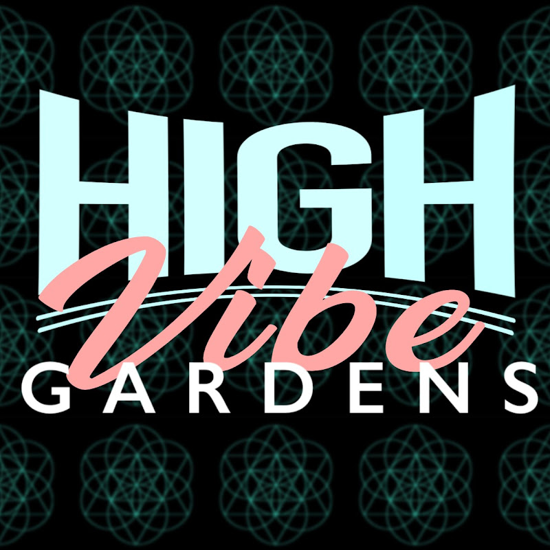 Hvg