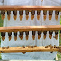Marcel and Sons : A day in the apiary - @beekeepingniharingpukyutan3145 - Youtube